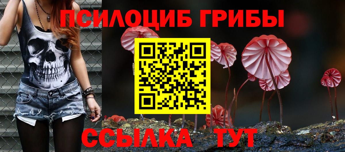 Галлюциногенные грибы Psilocybine cubensis Красноармейск