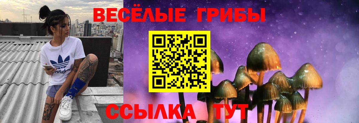 где можно купить   Псилоцибиновые грибы ЛСД  Вход с VPN  Красноармейск 